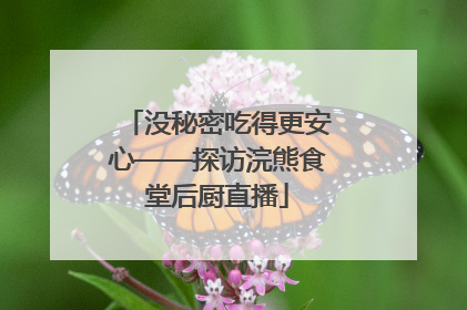 没秘密吃得更安心——探访浣熊食堂后厨直播