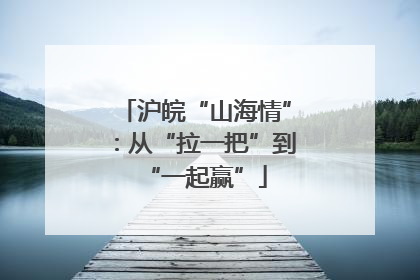 沪皖“山海情”：从“拉一把”到“一起赢”