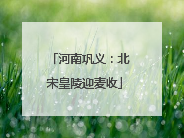河南巩义：北宋皇陵迎麦收