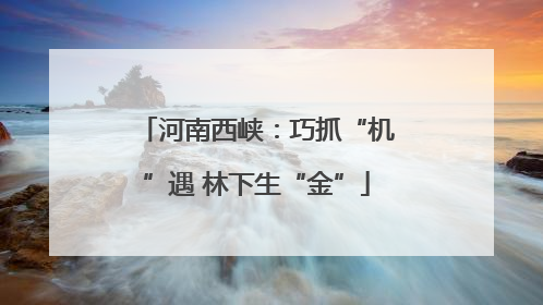 河南西峡：巧抓“机”遇 林下生“金”