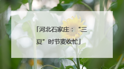 河北石家庄：“三夏”时节麦收忙