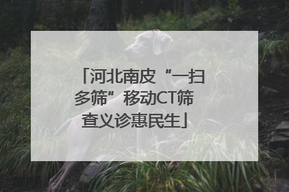 河北南皮“一扫多筛”移动CT筛查义诊惠民生