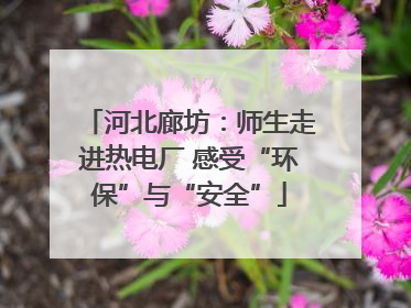 河北廊坊：师生走进热电厂 感受“环保”与“安全”