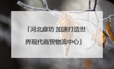 河北廊坊 加速打造世界现代商贸物流中心