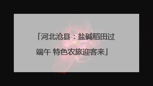 河北沧县：盐碱稻田过端午 特色农旅迎客来
