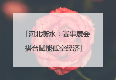 河北衡水：赛事展会搭台赋能低空经济
