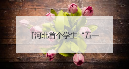 河北首个学生“五一”劳动周活动启动