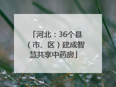 河北：36个县（市、区）建成智慧共享中药房