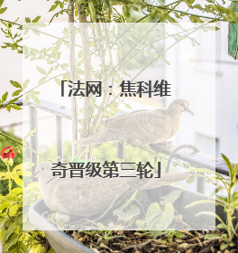 法网：焦科维奇晋级第三轮