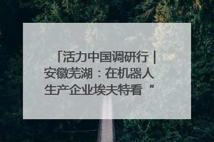 活力中国调研行｜安徽芜湖：在机器人生产企业埃夫特看“中国智造”