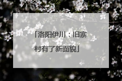 洛阳伊川：旧寨村有了新面貌
