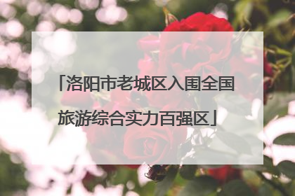 洛阳市老城区入围全国旅游综合实力百强区