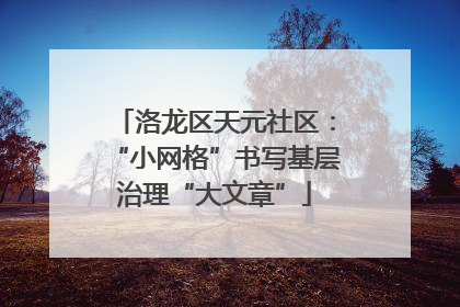 洛龙区天元社区：“小网格”书写基层治理“大文章”