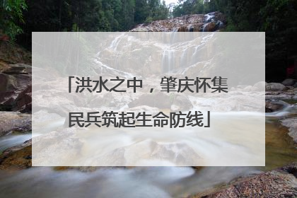 洪水之中，肇庆怀集民兵筑起生命防线