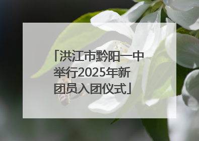 洪江市黔阳一中举行2025年新团员入团仪式
