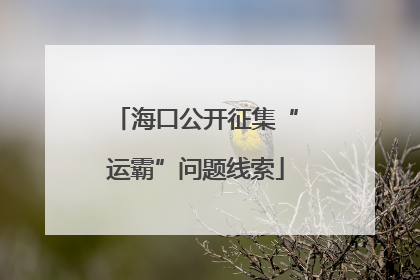 海口公开征集“运霸”问题线索