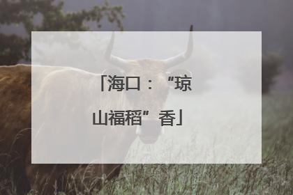 海口：“琼山福稻”香