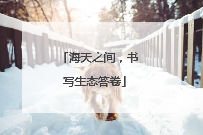 海天之间，书写生态答卷