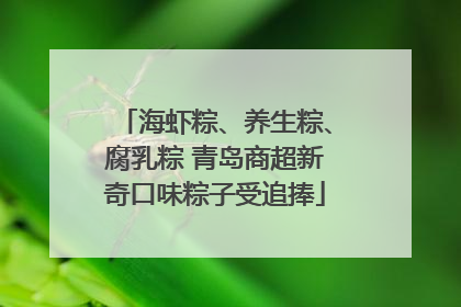 海虾粽、养生粽、腐乳粽 青岛商超新奇口味粽子受追捧