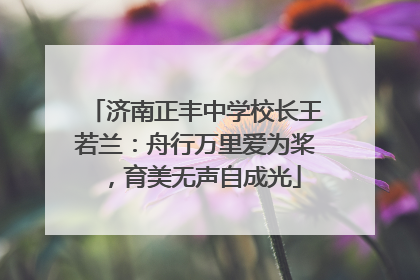 济南正丰中学校长王若兰：舟行万里爱为桨，育美无声自成光