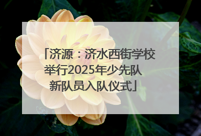 济源：济水西街学校举行2025年少先队新队员入队仪式
