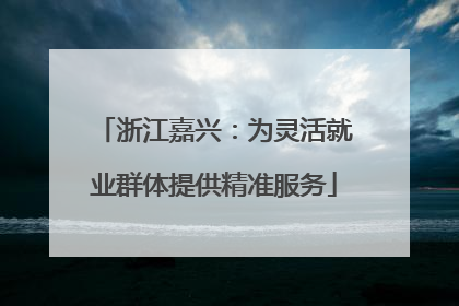 浙江嘉兴：为灵活就业群体提供精准服务