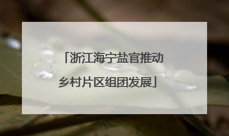 浙江海宁盐官推动乡村片区组团发展