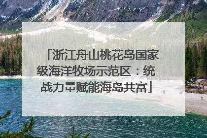 浙江舟山桃花岛国家级海洋牧场示范区：统战力量赋能海岛共富