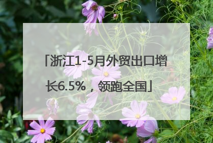 浙江1-5月外贸出口增长6.5%，领跑全国