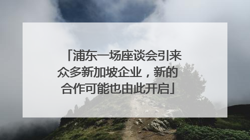 浦东一场座谈会引来众多新加坡企业，新的合作可能也由此开启