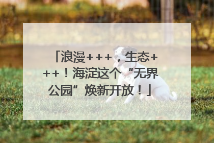 浪漫+++，生态+++！海淀这个“无界公园”焕新开放！