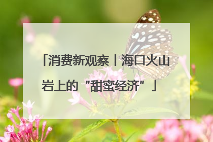 消费新观察丨海口火山岩上的“甜蜜经济”