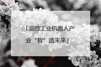淄博工业机器人产业“智”造未来