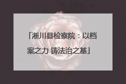 淅川县检察院：以档案之力 铸法治之基