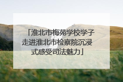 淮北市梅苑学校学子走进淮北市检察院沉浸式感受司法魅力