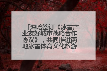 深哈签订《冰雪产业友好城市战略合作协议》，共同推进两地冰雪体育文化旅游高质量发展