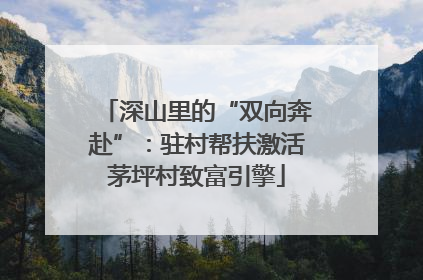深山里的“双向奔赴”：驻村帮扶激活茅坪村致富引擎