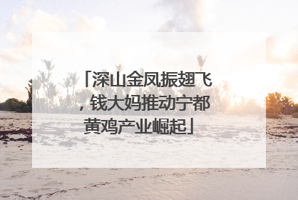 深山金凤振翅飞，钱大妈推动宁都黄鸡产业崛起