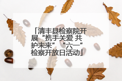 清丰县检察院开展“携手关爱 共护未来”“六一”检察开放日活动