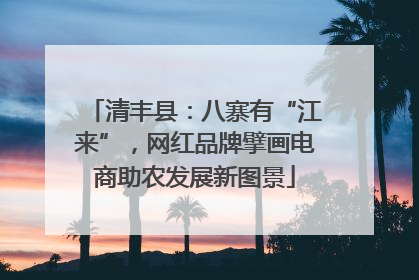 清丰县：八寨有“江来”，网红品牌擘画电商助农发展新图景