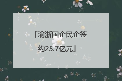 渝浙国企民企签约25.7亿元
