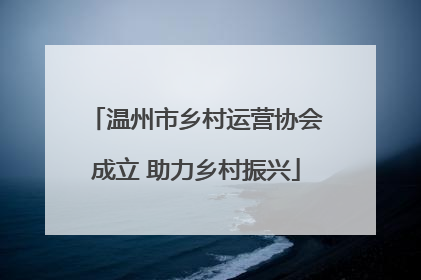 温州市乡村运营协会成立 助力乡村振兴
