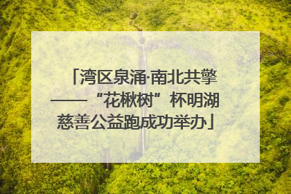 湾区泉涌·南北共擎——“花楸树”杯明湖慈善公益跑成功举办