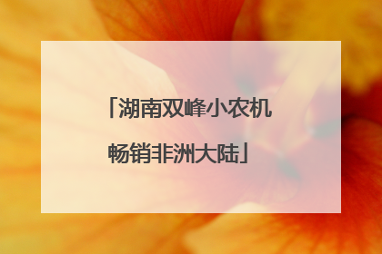 湖南双峰小农机畅销非洲大陆