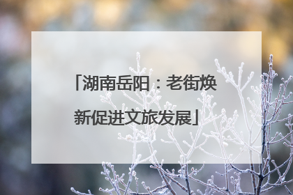 湖南岳阳：老街焕新促进文旅发展