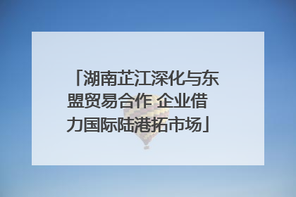湖南芷江深化与东盟贸易合作 企业借力国际陆港拓市场