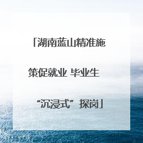 湖南蓝山精准施策促就业 毕业生“沉浸式”探岗