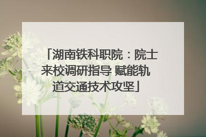 湖南铁科职院：院士来校调研指导 赋能轨道交通技术攻坚