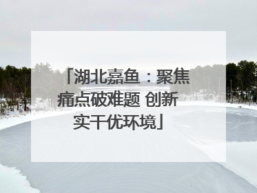 湖北嘉鱼：聚焦痛点破难题 创新实干优环境