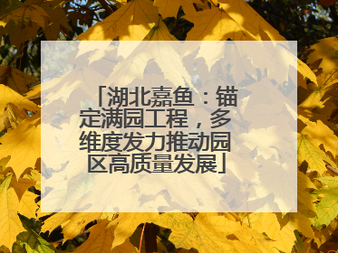 湖北嘉鱼：锚定满园工程，多维度发力推动园区高质量发展